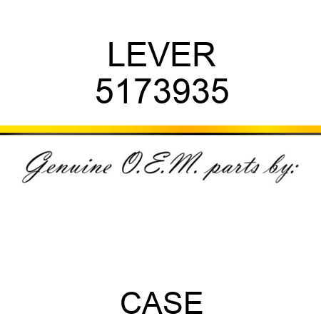 LEVER 5173935