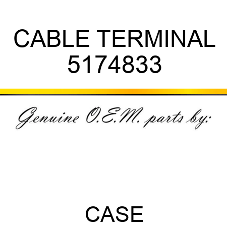 CABLE TERMINAL 5174833