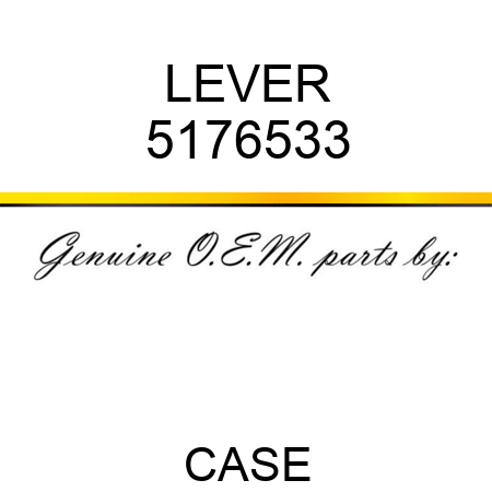 LEVER 5176533