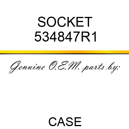 SOCKET 534847R1