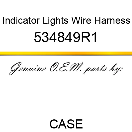 Indicator Lights Wire Harness 534849R1