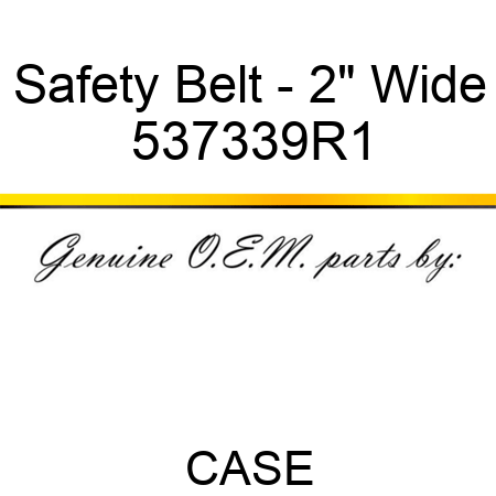 Safety Belt - 2" Wide 537339R1