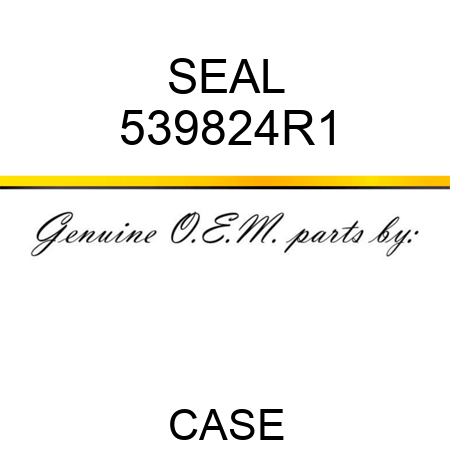 SEAL 539824R1