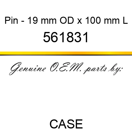Pin - 19 mm OD x 100 mm L 561831