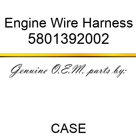 Engine Wire Harness 5801392002