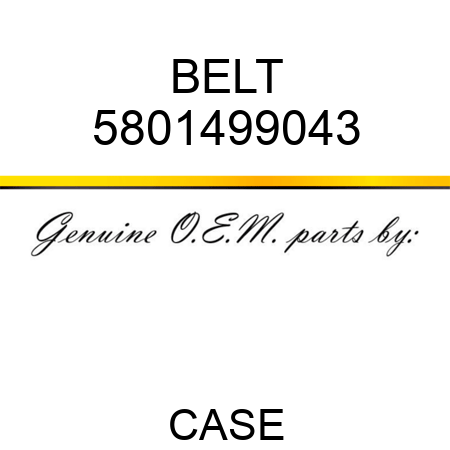 BELT 5801499043