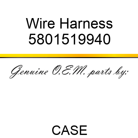 Wire Harness 5801519940