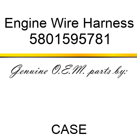 Engine Wire Harness 5801595781