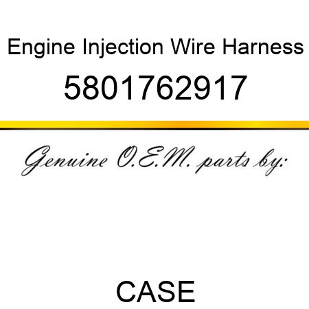Engine Injection Wire Harness 5801762917
