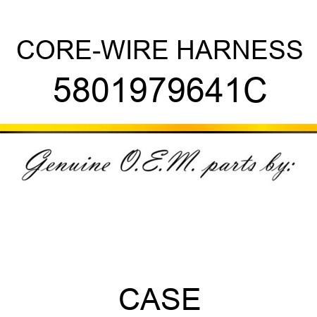 CORE-WIRE HARNESS 5801979641C