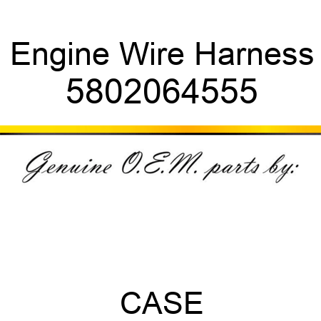 Engine Wire Harness 5802064555