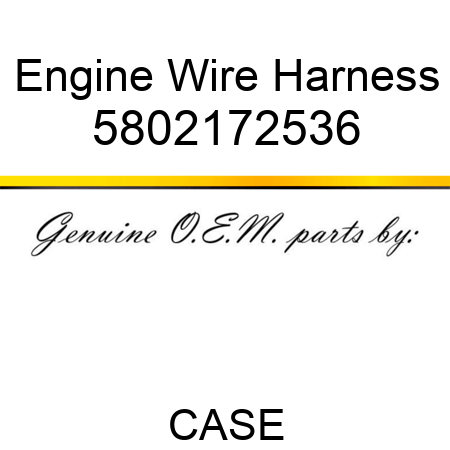 Engine Wire Harness 5802172536