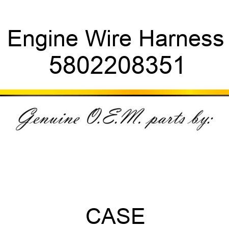 Engine Wire Harness 5802208351
