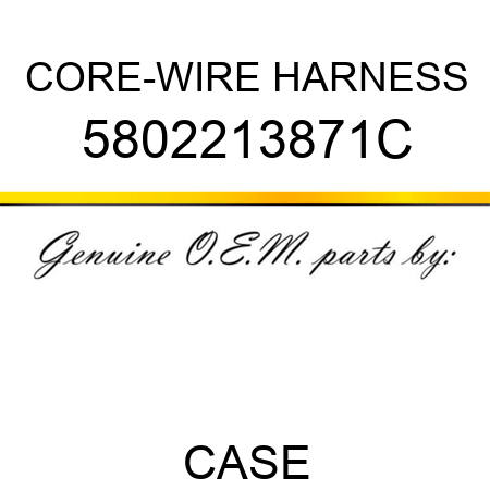 CORE-WIRE HARNESS 5802213871C