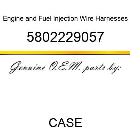 Engine and Fuel Injection Wire Harnesses 5802229057