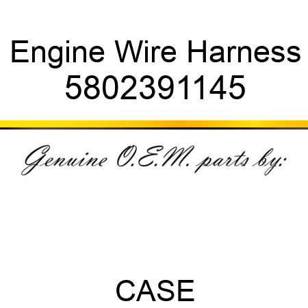 Engine Wire Harness 5802391145