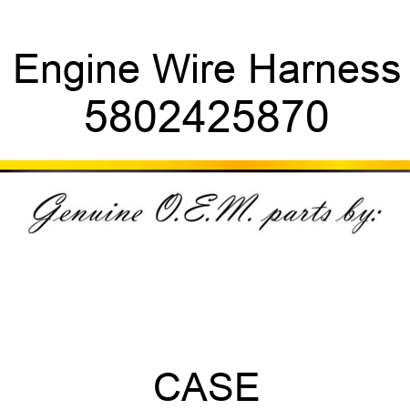 Engine Wire Harness 5802425870