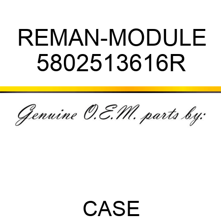 REMAN-MODULE 5802513616R