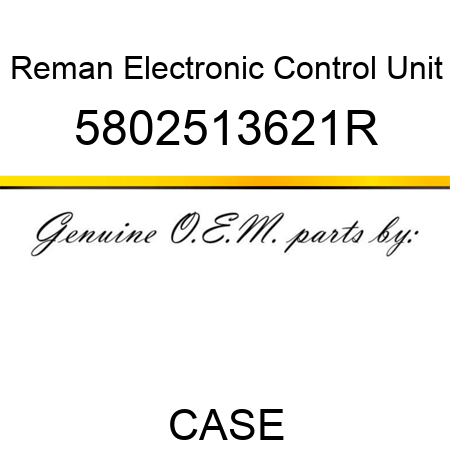 Reman Electronic Control Unit 5802513621R