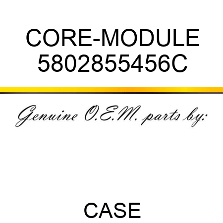 CORE-MODULE 5802855456C
