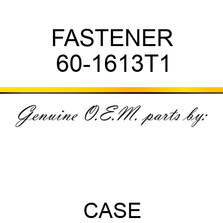 FASTENER 60-1613T1