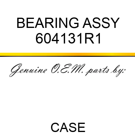 BEARING ASSY 604131R1