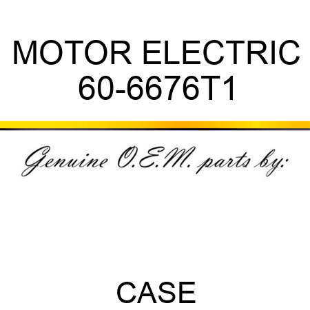 MOTOR, ELECTRIC 60-6676T1