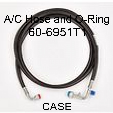A/C Hose and O-Ring 60-6951T1
