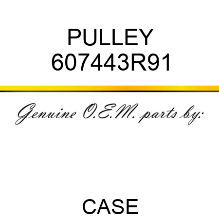 PULLEY 607443R91
