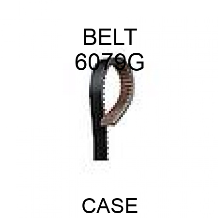 BELT 6079G