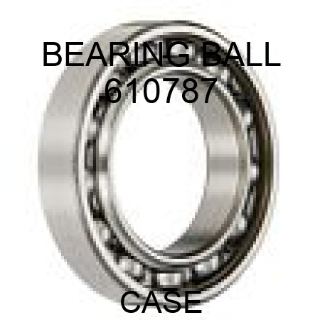 BEARING, BALL 610787