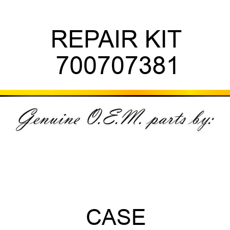 REPAIR KIT 700707381