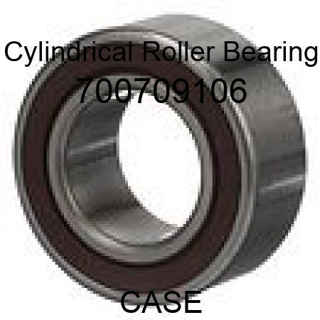 Cylindrical Roller Bearing 700709106