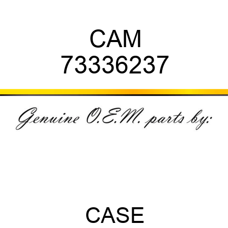 CAM 73336237