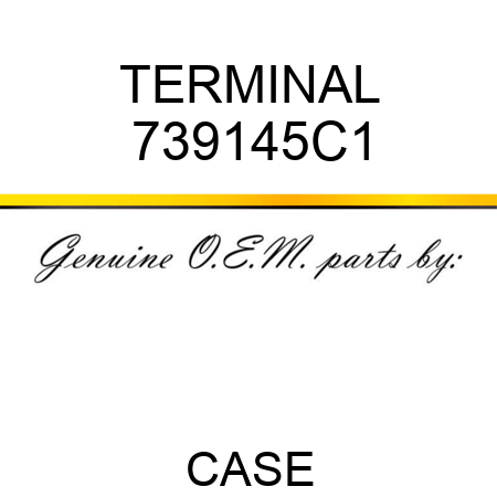 TERMINAL 739145C1
