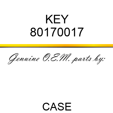 KEY 80170017
