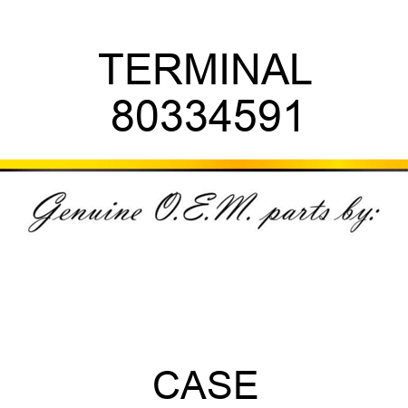 TERMINAL 80334591