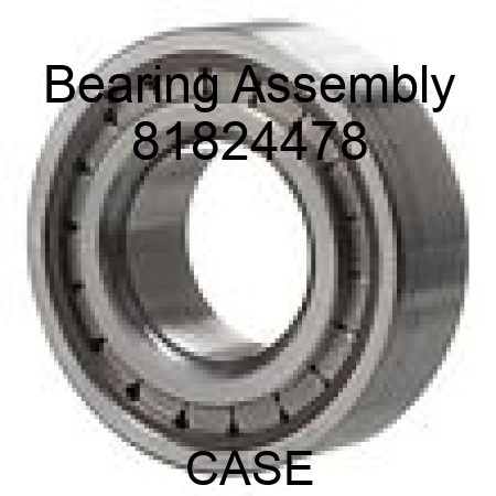Bearing Assembly 81824478