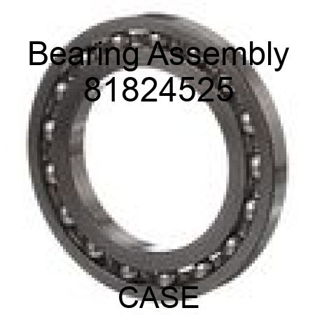 Bearing Assembly 81824525