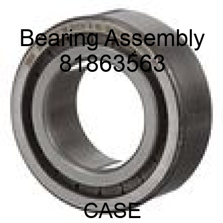 Bearing Assembly 81863563