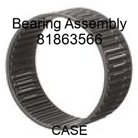 Bearing Assembly 81863566