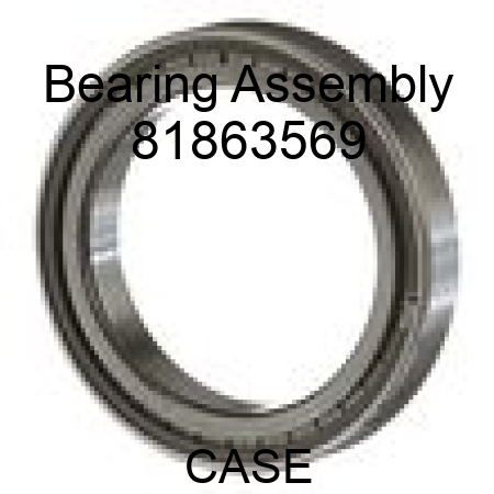Bearing Assembly 81863569