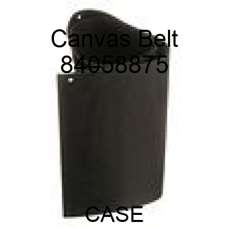 Canvas Belt 84058875