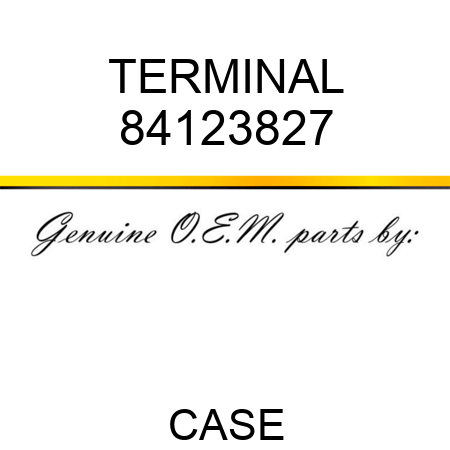 TERMINAL 84123827