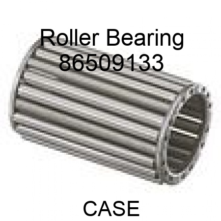 Roller Bearing 86509133