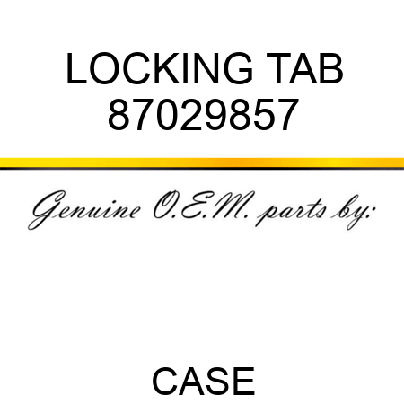 LOCKING TAB 87029857
