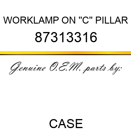 WORKLAMP ON ''C'' PILLAR 87313316