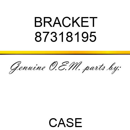 BRACKET 87318195
