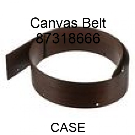 Canvas Belt 87318666