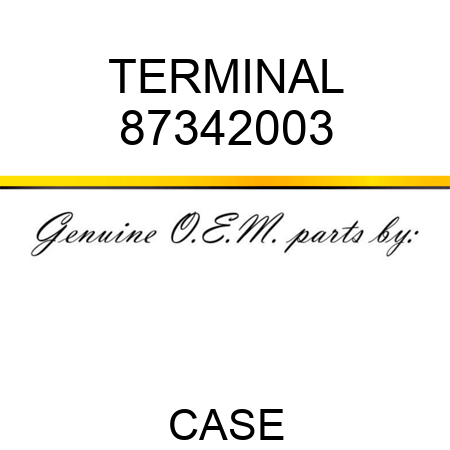 TERMINAL 87342003